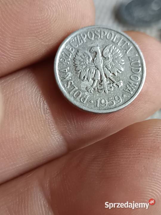 Sprzedam t groszy 1949 Chełm sprzedam