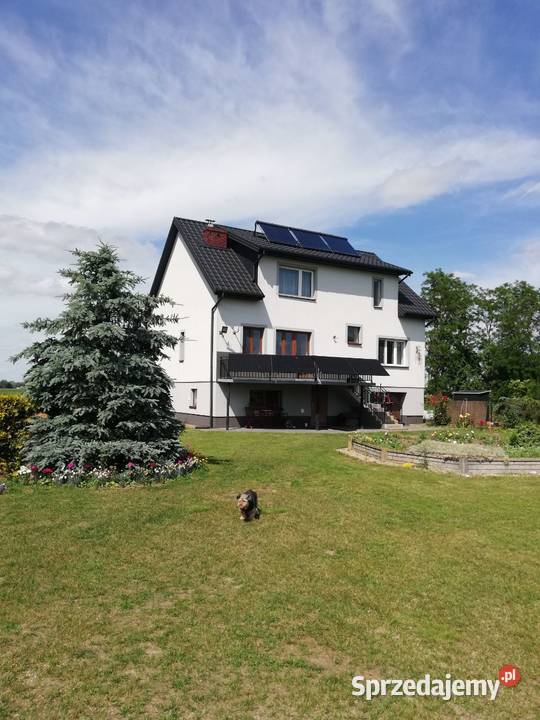 dom wolnostojący w okolicy Baboszewa 15 Płońska 4994m2 Baboszewo