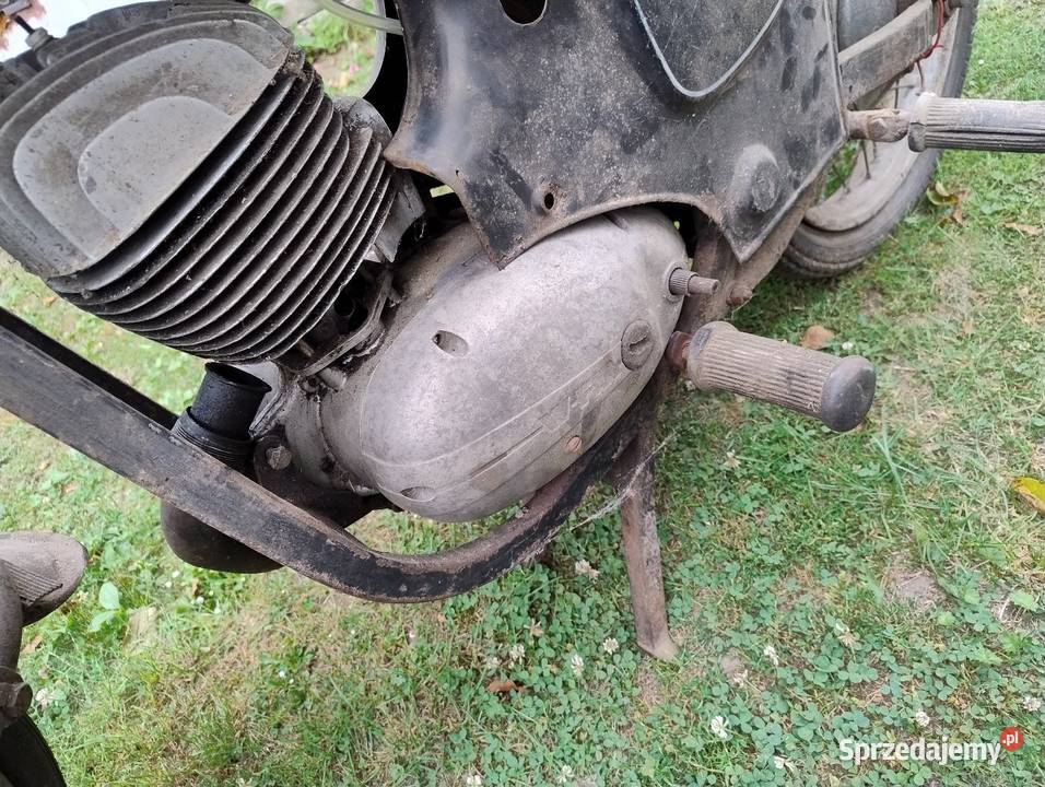 SHL m 11 Przyłogi
