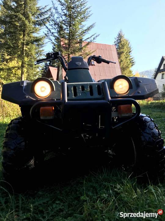 Yamaha grizzly 600