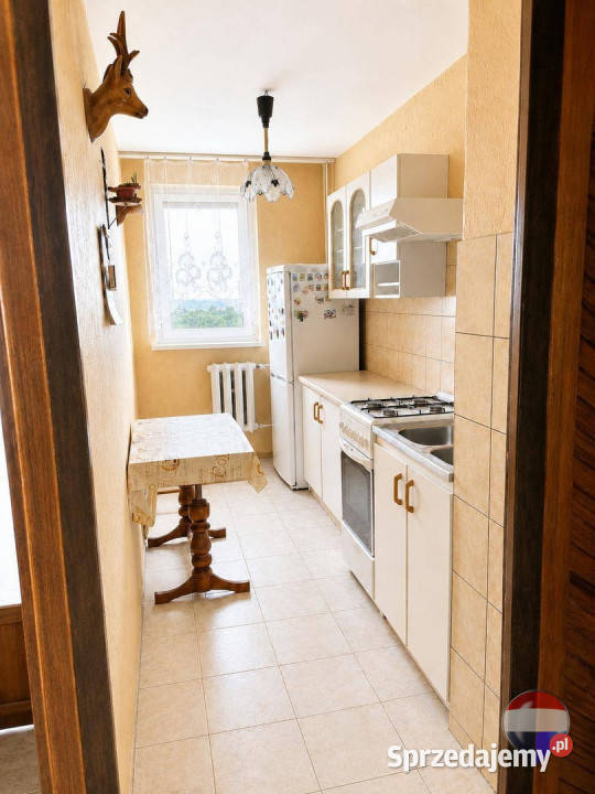 3pokojowe mieszkanie z balkonem 5776 m 8 piętro