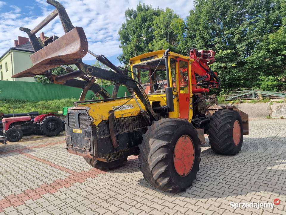 Welte Okonom 105 L Ciągnik leśny LKT Leśnictwo Jordanów