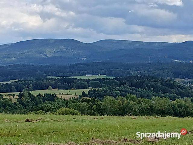 Na sprzedaż działka rolnobudowlana o powierzchni Grunty i działki dolnośląskie Łężyce