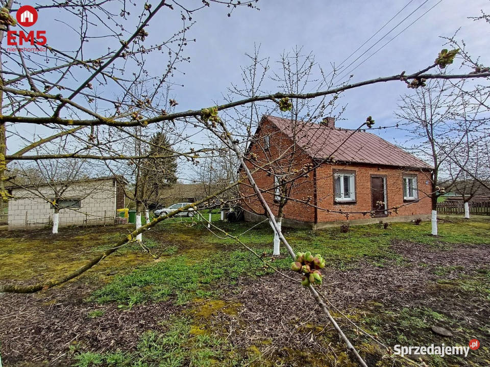 sprzedaży domu wolnostojącego Klepacze 9300m2 Sprzedaż Grodzisk