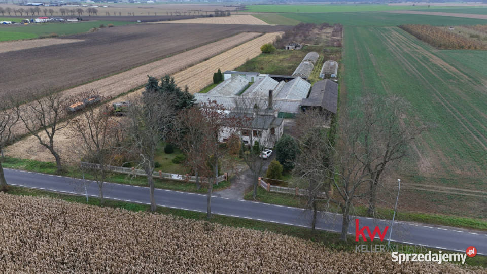 Dom wolnostojący 144m2 Wielka Wieś Szamotulska 20031m2 Sprzedaż