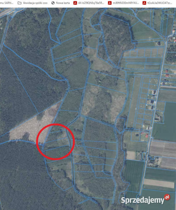 12 ha 50 Nowogard Osina rzeką bezpośrednio zachodniopomorskie
