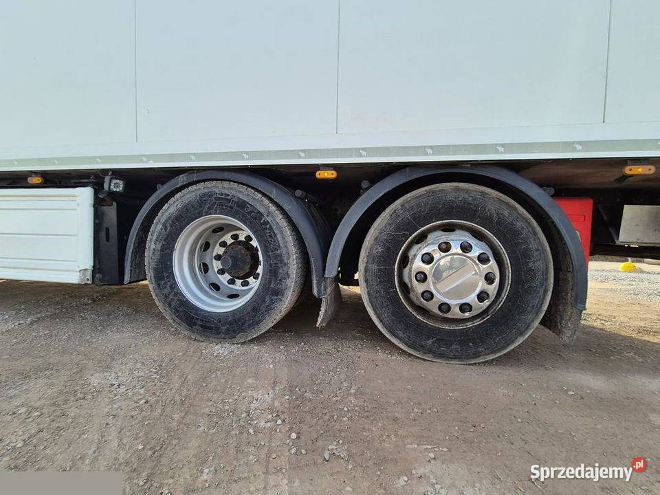 Scania R560 V8 560 CHŁODNIA SCHMITZCARRIER Salon 1335222km Czerniewice sprzedam