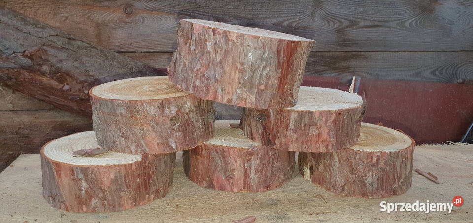 Plaster drewna modrzew 10-12 cm grubość 2 cm