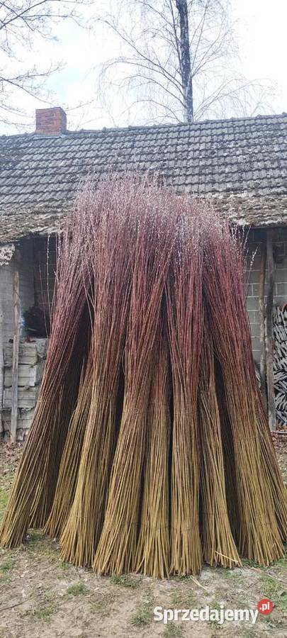 Sprzedam wiklinę sortowaną 152m Wola Zarczycka