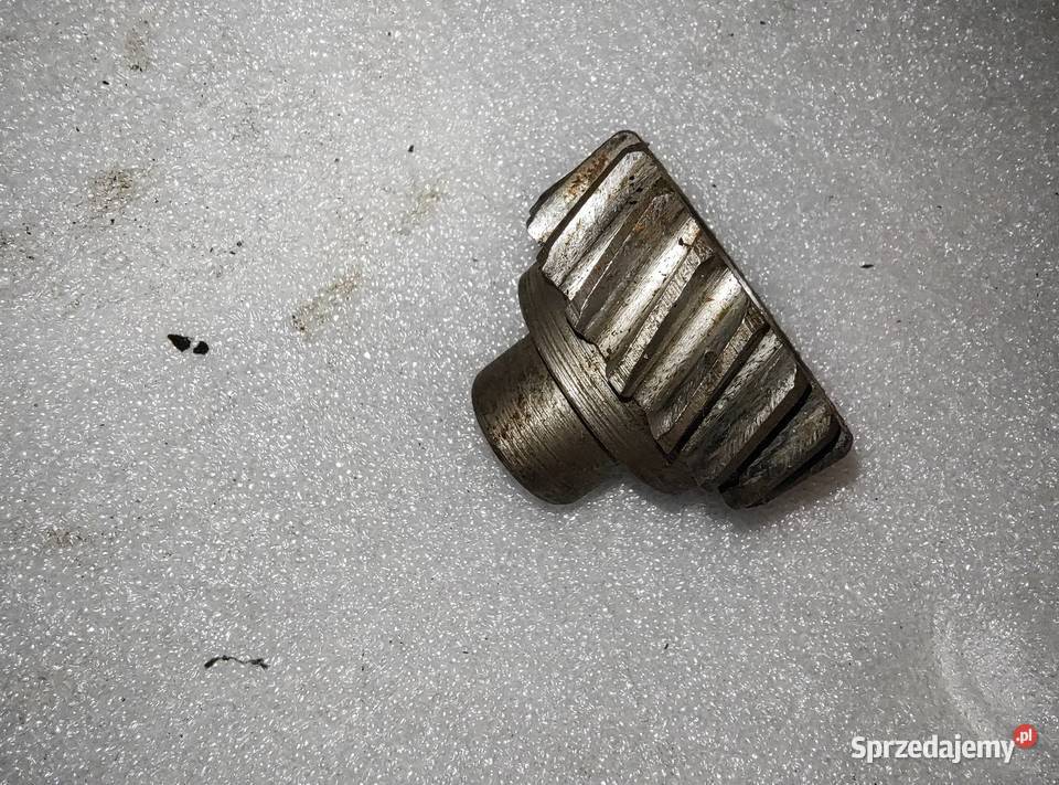 Tryb alternatora G424 12v Dniepr MT Leszno