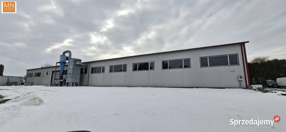 Wynajem lokalu Kazimierza Wielka 1175m2 1175m2