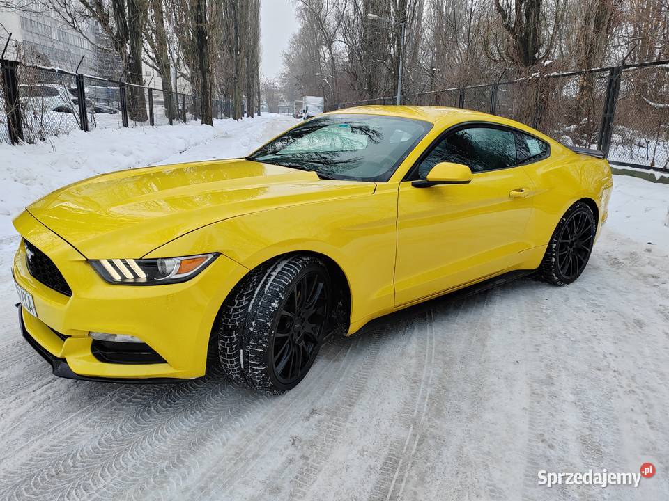 Ford mustang 37 Rok produkcji 2015 mazowieckie