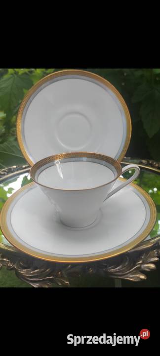 Hutschenreuther Hohenbergfiliżanka ze Pabianice