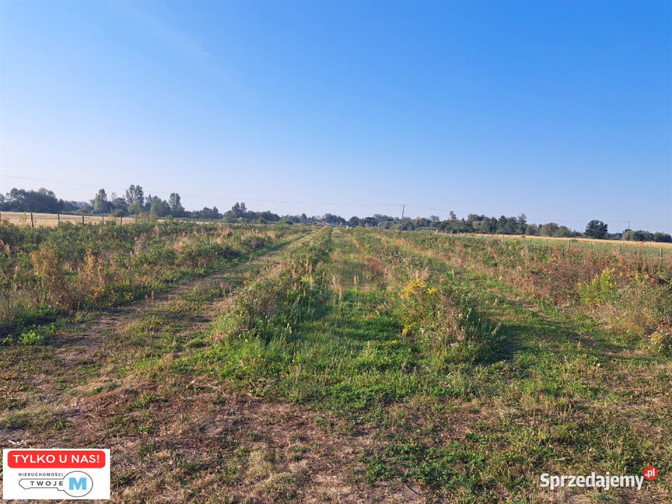 Grunt 22000m2 Łubnice