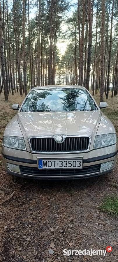 Skoda Octavia 2 16 MPI 102 NAJLEPSZY SILNIK Śrem