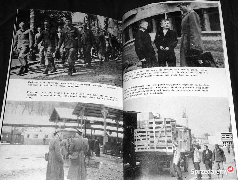 Szarobłękitni na tropach zbrodni praca zbiorowa miękka z obwolutą Pozostałe Chełm