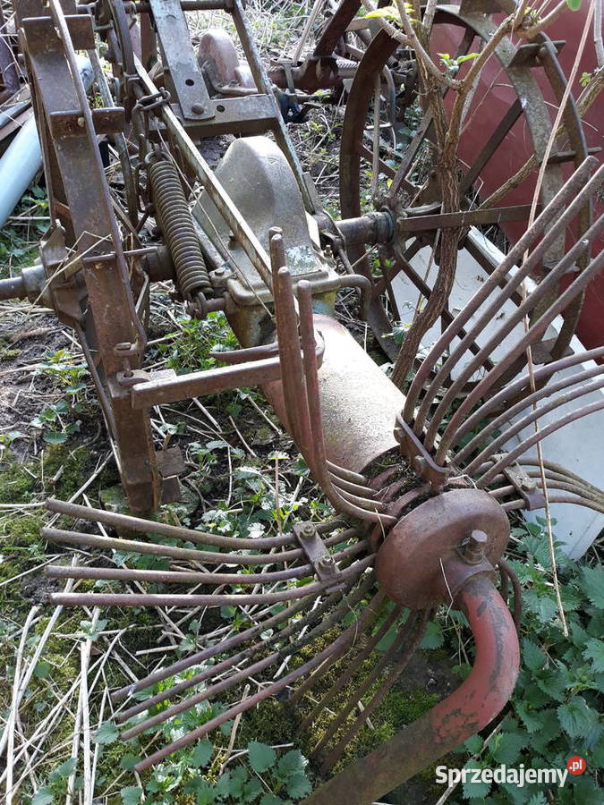 kopaczka konna nieuszkodzony lubelskie Czerniejów