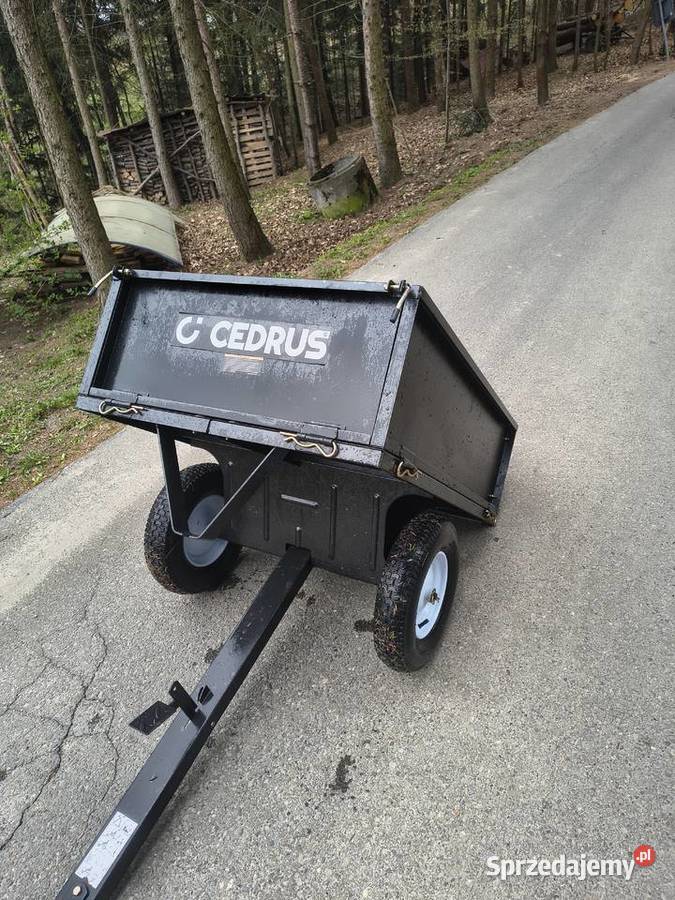 Przyczepka Cedrus Ogród Hermanowa