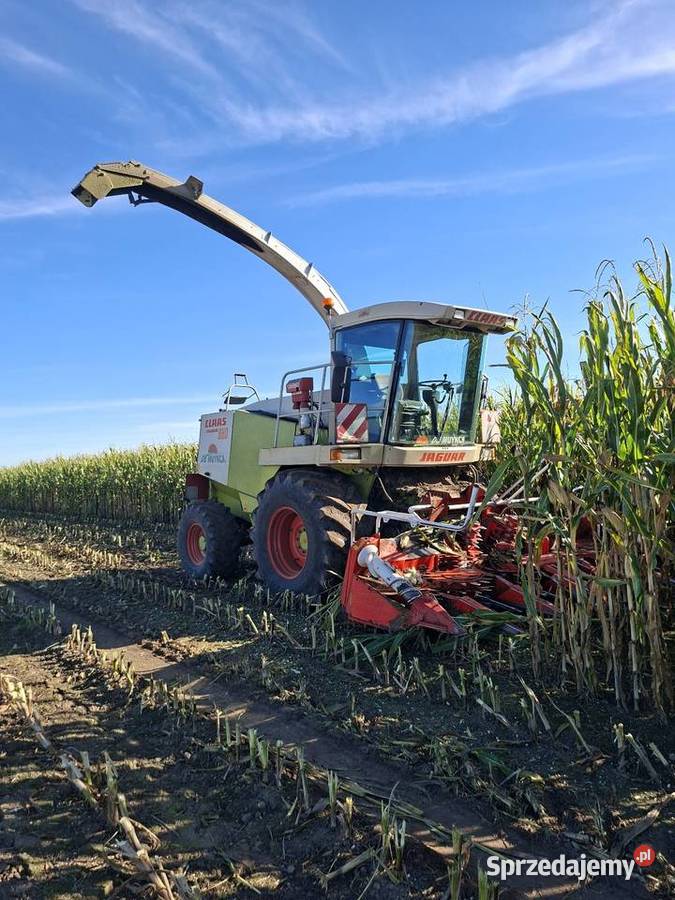 Claas jaguar 880 kemper 345 pickup Pozostałe Faszcze sprzedam