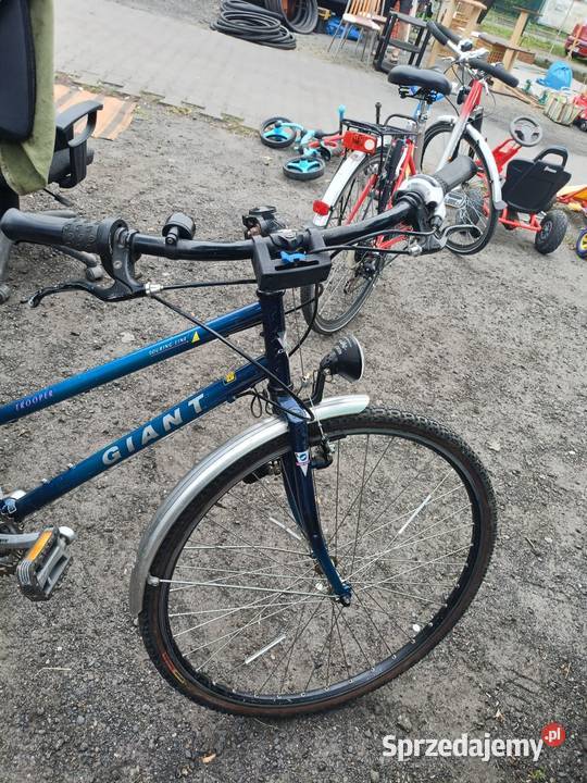 Rower damka Giant na kołach 28 Chorzów sprzedam