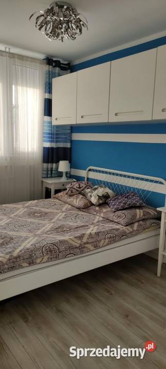 3pok 58met Sztabowej LOGGIAPIWNICA Wrocław sieć
