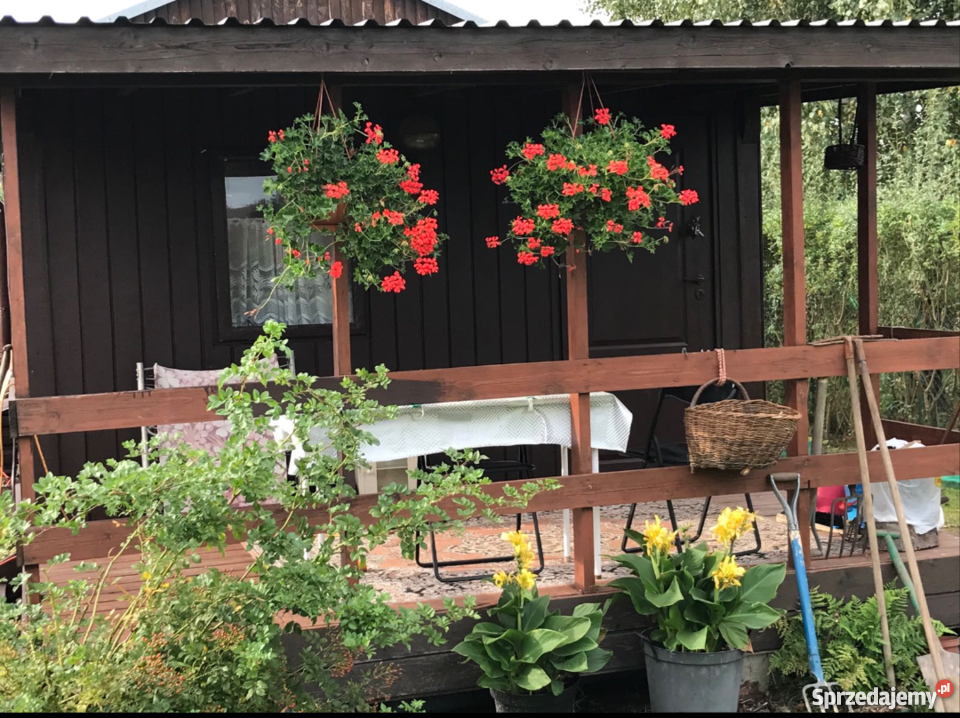 Sprzedam działkę rekreacyjne mazowieckie Kajetany