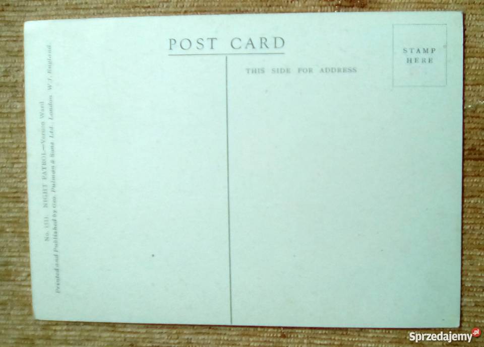 DZIKIE PTAKI WODĄ O ZMIERZCHU VERNON BEAUVOIR Piszczac