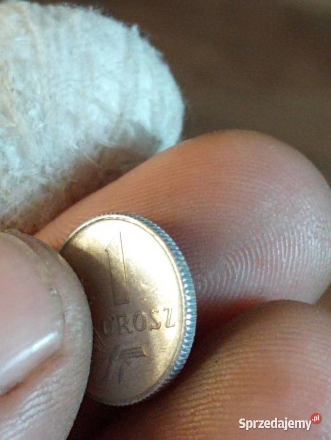 Sprzedam trzeci 1 grosz 1949 r bzm Chełm