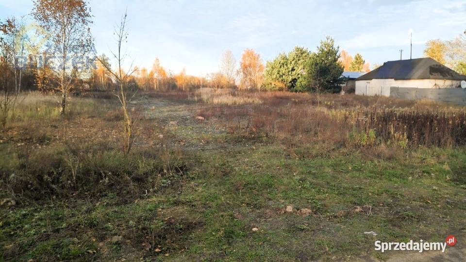 Sprzedam działki budowlane w Nowych Mostkach Nowe Mostki sprzedam