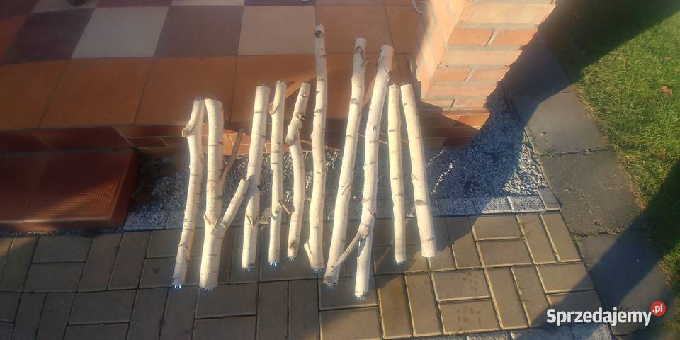 Żerdzie brzozowe z mocowaniami papug