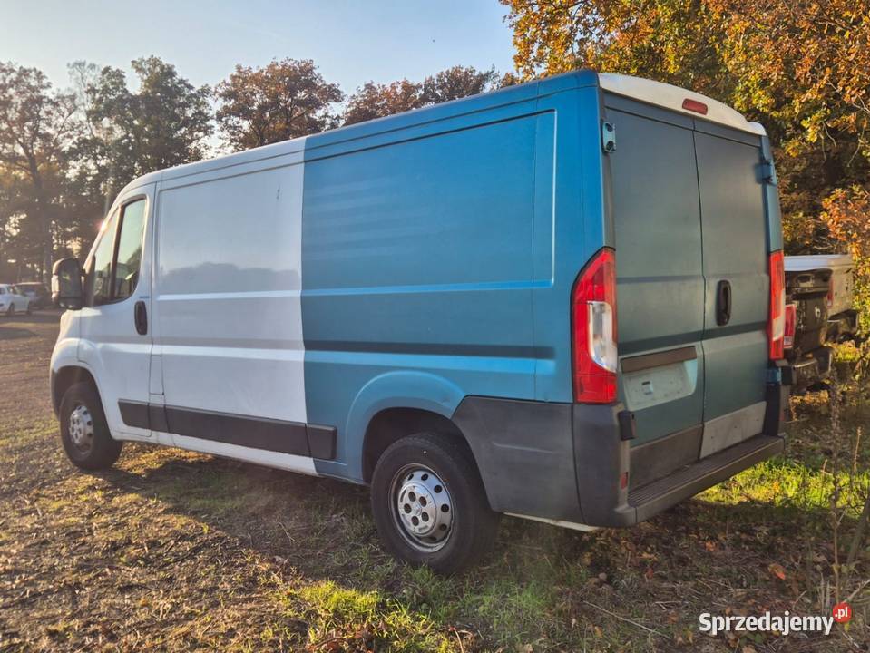 Peugeot Boxer 20 Diesel 2019 Wołów