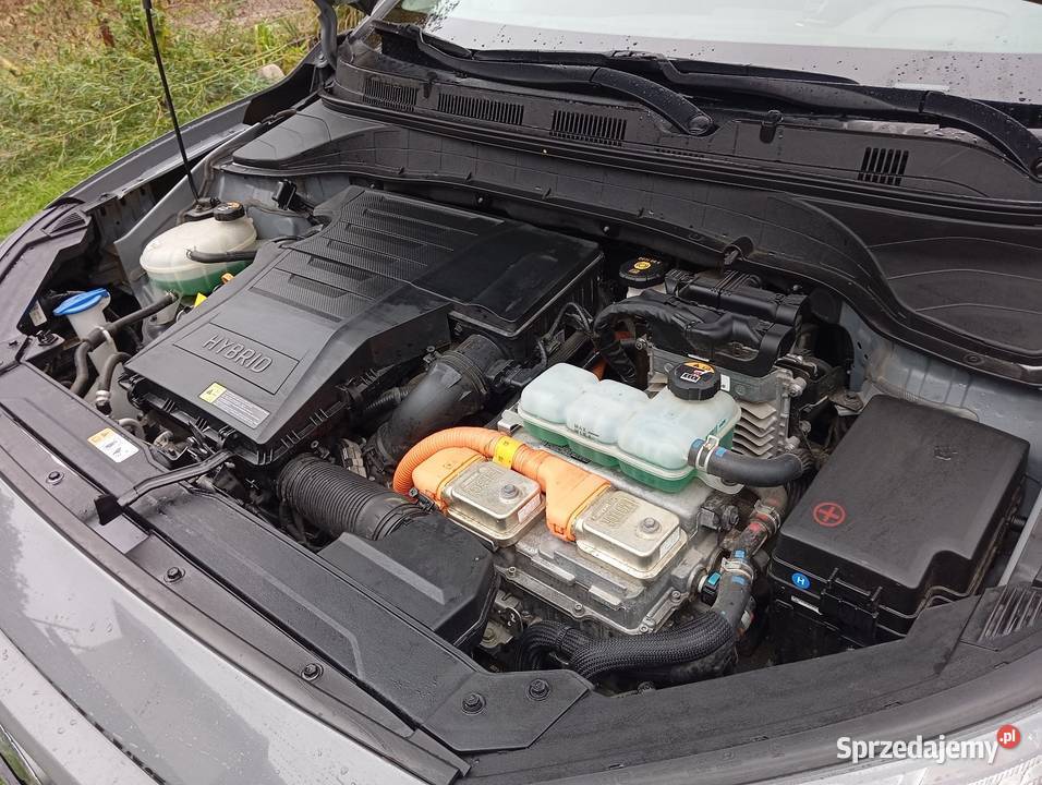Hyundai kona hybrid 1 6 DCT Premium małopolskie Tarnów