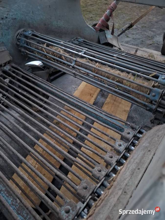 Kopaczka elewatorowa nowe taśmy podkarpackie Komorów