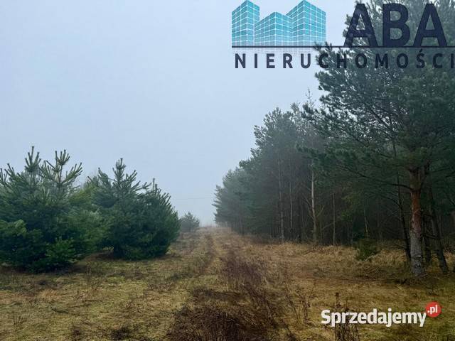 Działka na sprzedaż w Skulsku Skulsk