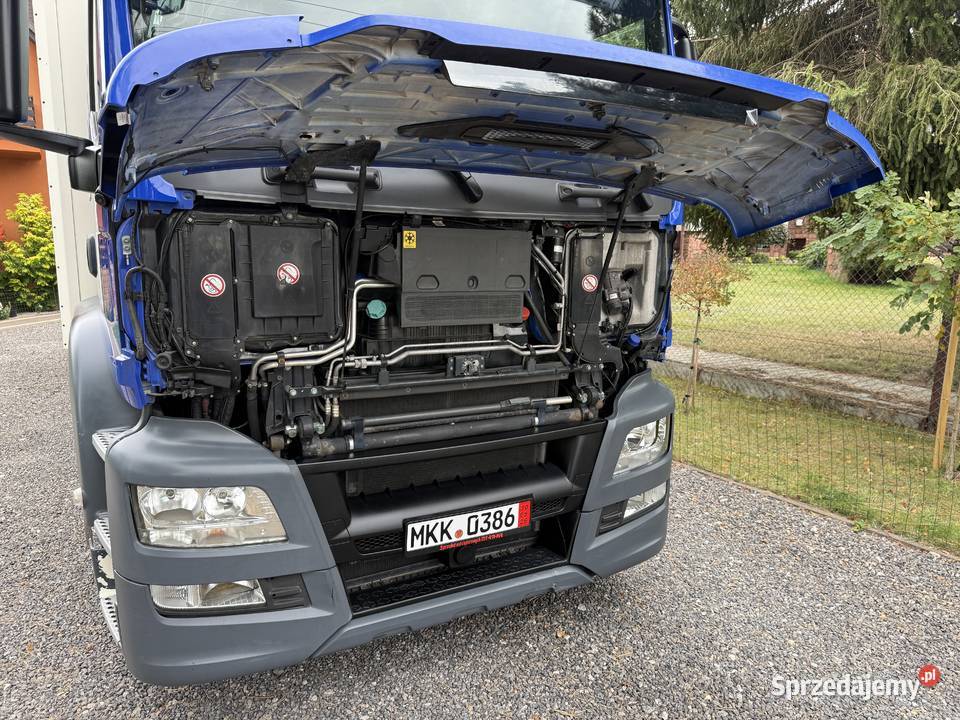 MAN TGS 26360 CHLODNIA IZOTERMA SUPER STAN świętokrzyskie Bliżyn