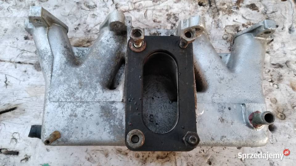 Polonez Borewicz kolektor ssacy osobowe podkarpackie Stalowa Wola