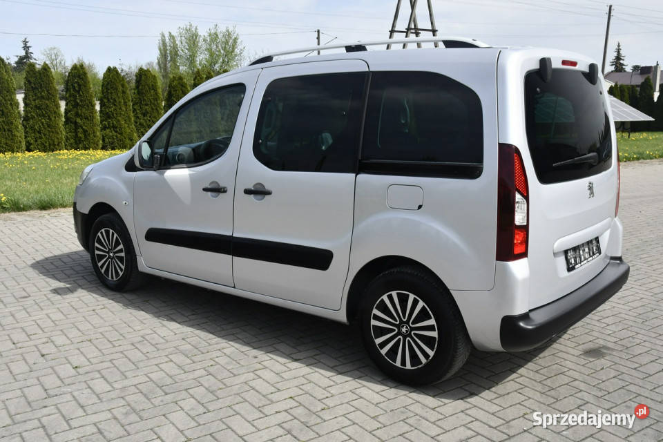 Peugeot Partner 16ehdi DUDKI11 5