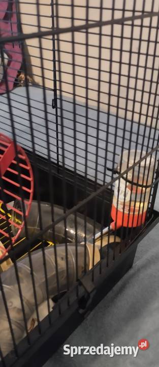 Klatka z akcesoriami pokarm Bydgoszcz