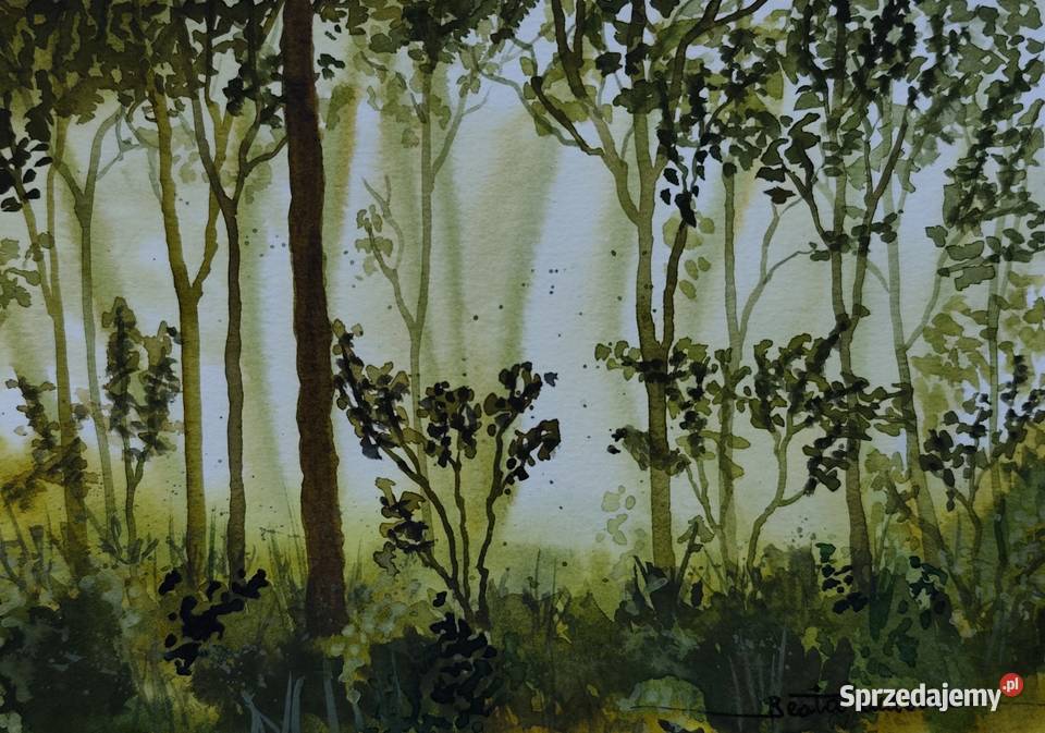 Akwarela Akwarelka Obraz pt Pomiędzy drzewami zachodniopomorskie sprzedam