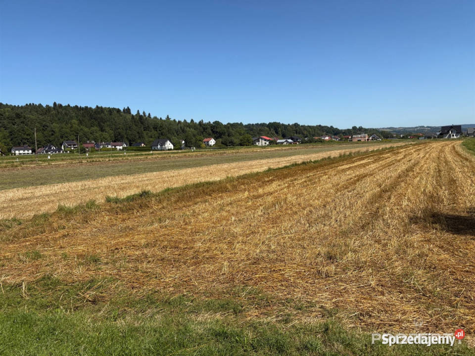 Sprzedam działka Podegrodzie 2700 metrów