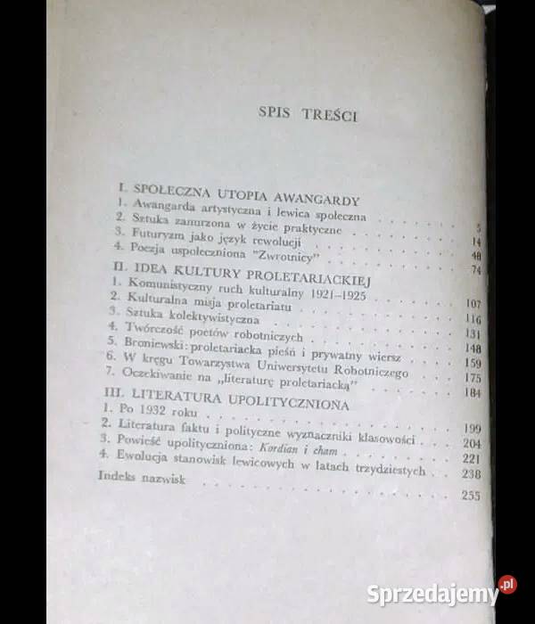 Literatura i nowe społeczeństwo Zbigniew lubelskie Chełm