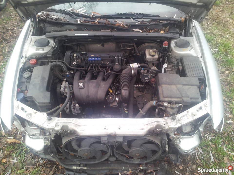 Peugeot 406 Coupe 20 Sekwencja LPG OKAZJA poduszka powietrzna Nasielsk sprzedam