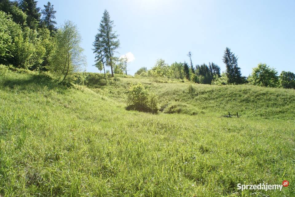Działka w górach Idealne miejsce na wyciszenie Obidza