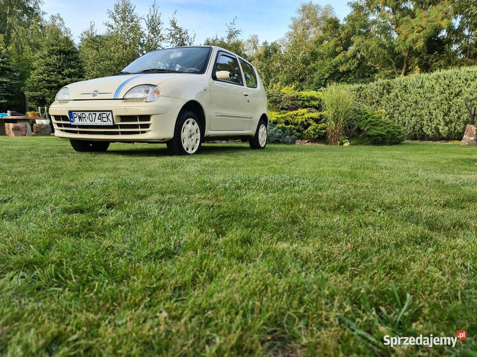 Fiat Seicento 11 Oryginalny edycja na 50lecie wielkopolskie Września