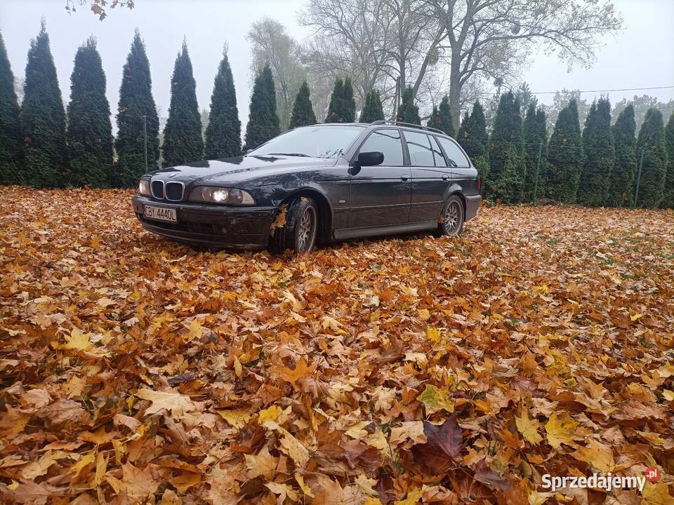 Wszystkie części BMW E39 osobowe sprzedam
