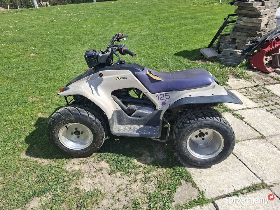 Quad yamaha breeze 125 Motoryzacja małopolskie Dominikowice