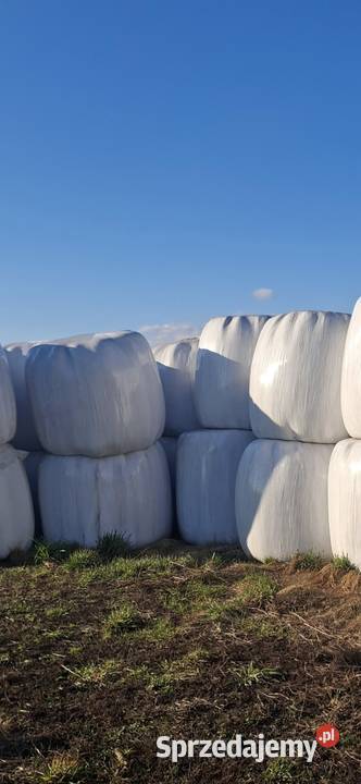 siano sianokiszonka Ciechanów