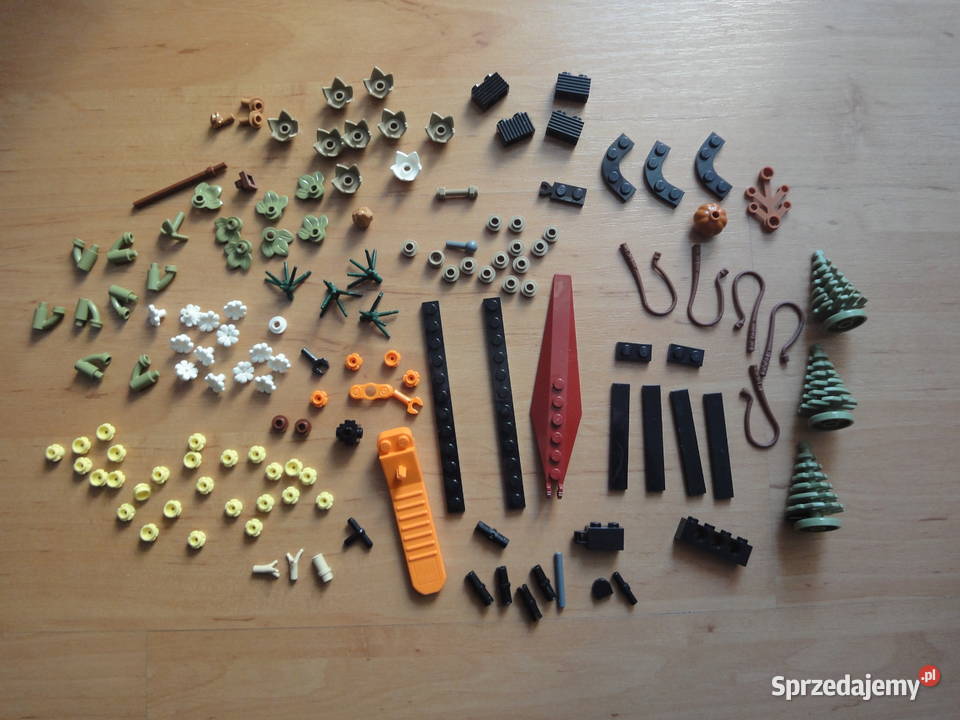 pozostałości zestawie Lego 10314 Kraków