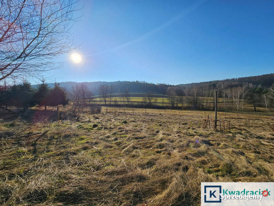 sprzedaży działki 1856m2 Berezka 1856m2 podkarpackie