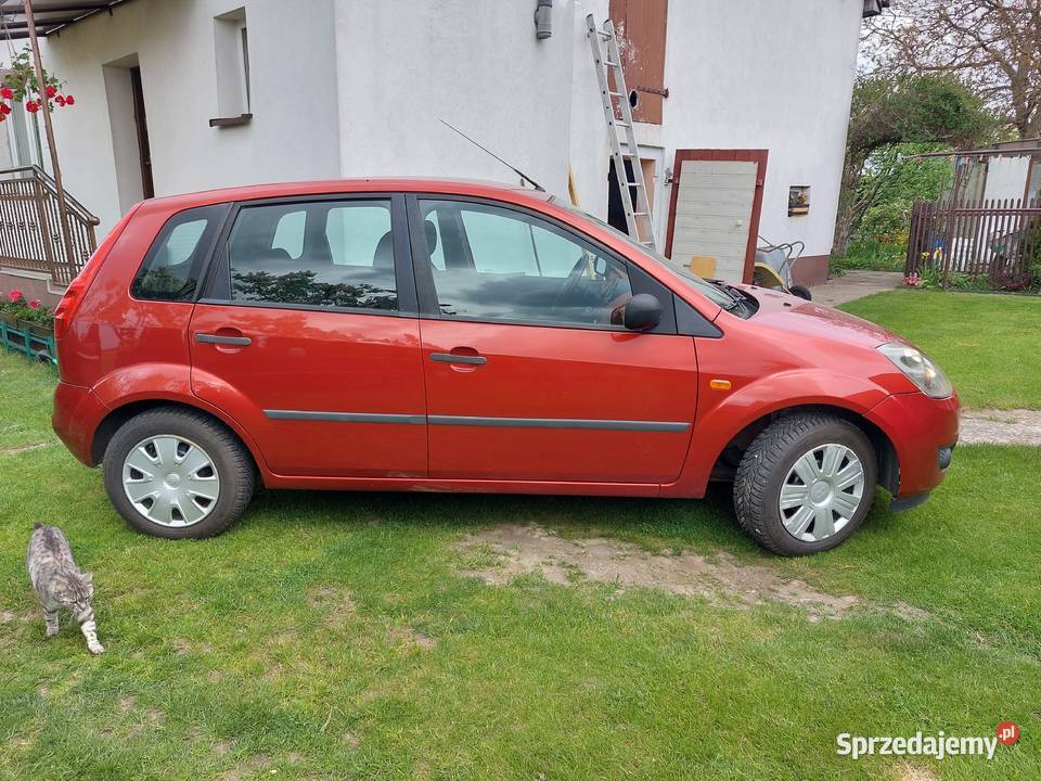 Ford Fiesta Mk6 FL 125 Benzyna BEZ RDZY 228304km Czastary